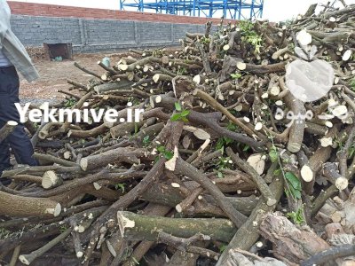 چوب مرکبات شمال در ساری در گروه خرید و فروش چوب مرکبات در یکمیوه -عکس1