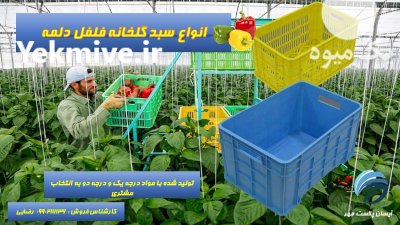 تولید فروش سبد جعبه فلفل دلمه در گروه خرید و فروش انواع سبد در یکمیوه -عکس1