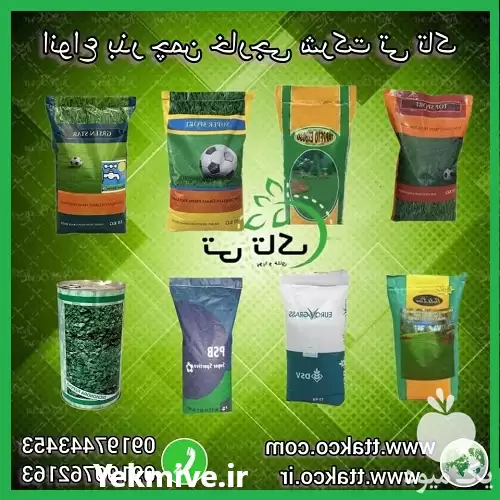 بذر چمن خرید قیمت انواع بذر در مشهد در گروه خرید و فروش بذر چمن در یکمیوه -عکس1