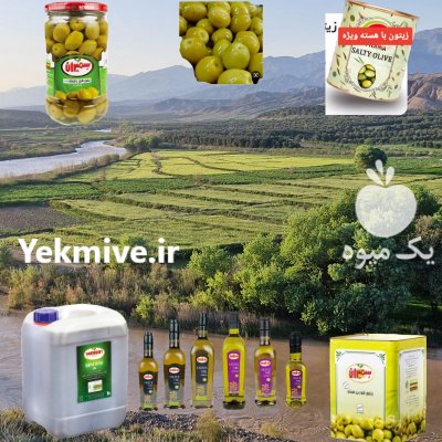 عرضه عمده انواع زیتون و روغن در آب بر در گروه خرید و فروش انواع روغن در یکمیوه -عکس1
