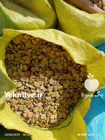 فروش باقاله درجه یک در گروه خرید و فروش محصولات صیفی در یکمیوه -عکس2