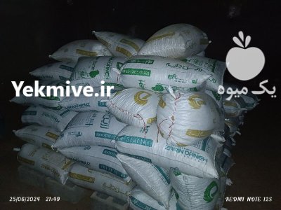 فروش باقاله درجه یک در گروه خرید و فروش محصولات صیفی در یکمیوه -عکس4