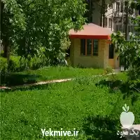 قیمت خرید خاک باغچه در تهران در گروه خرید و فروش کود دامی در یکمیوه