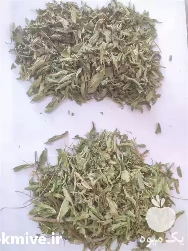 قیمت خرید خدمات فرآوری بوجاری گیاهان در گروه خرید و فروش گیاهان دارویی در یکمیوه -عکس1