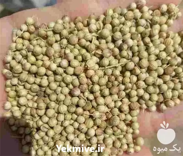 فروش تخم گشنیز در همدان در گروه خرید و فروش گیاهان دارویی در یکمیوه -عکس1