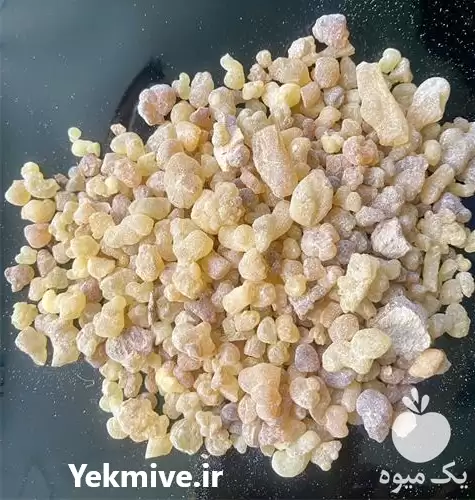 قیمت خرید گیاهان دارویی در تهران در گروه خرید و فروش گیاهان دارویی در یکمیوه -عکس1