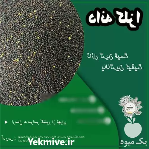 فروش روغن کلزا کلد پرس دانه در تهران در گروه خرید و فروش انواع روغن در یکمیوه -عکس1
