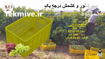 سبد انگور کشمش درجه یک سبد در گروه خرید و فروش انواع سبد در یکمیوه -عکس1