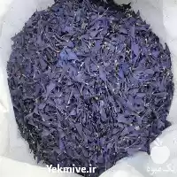 قیمت خرید گل گاوزبان درجه یک در رشت در گروه خرید و فروش گیاهان دارویی در یکمیوه