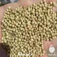 فروش تخم گشنیز در همدان در گروه خرید و فروش گیاهان دارویی در یکمیوه