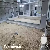 فروش خلال پسته در گروه خرید و فروش پسته در یکمیوه