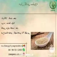 فروش کنجد واردات کنجد در تهران در گروه خرید و فروش دانه های روغنی در یکمیوه