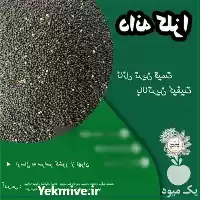 فروش روغن کلزا کلد پرس دانه در تهران در گروه خرید و فروش انواع روغن در یکمیوه
