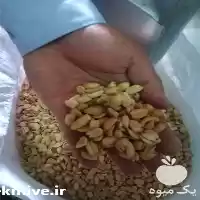 خرید بادام زمینی در تهران در گروه خرید و فروش بادام در یکمیوه