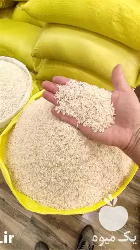 قیمت خرید برنج هاشمی و شیرودی در گروه خرید و فروش برنج در یکمیوه -عکس1