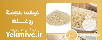 فروش کنجد سفید هندی در قم در گروه خرید و فروش دانه های روغنی در یکمیوه -عکس1