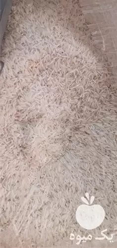 قیمت خرید برنج ایرانی با عطری در کرج در گروه خرید و فروش برنج در یکمیوه -عکس1