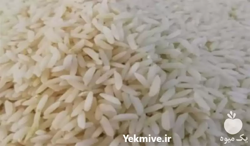 قیمت خرید برنج دم سیاه در گروه خرید و فروش برنج در یکمیوه -عکس1