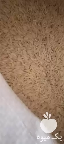 فروش ارائه برنج هاشمی قیمت مناسب در کرج در گروه خرید و فروش برنج در یکمیوه -عکس1