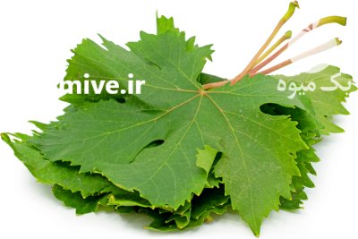 برگ مو 500 گرمی داخل آب در تبریز در گروه خرید و فروش سبزیجات در یکمیوه -عکس1