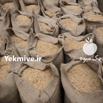 فروش عمده سبوس برنج جهت خوراک در چناران در گروه خوراک دام و طیور در یکمیوه -عکس3