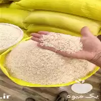 قیمت خرید برنج هاشمی و شیرودی در گروه خرید و فروش برنج در یکمیوه