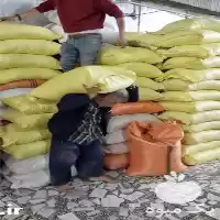 فروش عمده برنج فوق ممتاز هاشمی در گروه خرید و فروش برنج در یکمیوه