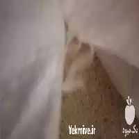 فروش برنج دم سیاه با رقابتی در کرج در گروه خرید و فروش برنج در یکمیوه