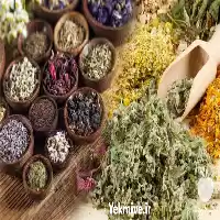 قیمت خرید عمده گیاهان دارویی در تهران در گروه خرید و فروش گیاهان دارویی در یکمیوه