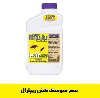 سم سوسک کش ریشه کن کننده در اهواز در گروه خرید و فروش انواع سم در یکمیوه -عکس1