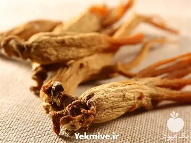 قیمت خرید عمده جزئی پودر عصاره در تهران در گروه خرید و فروش گیاهان دارویی در یکمیوه -عکس1