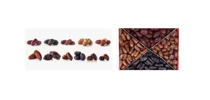 قیمت خرید عمده خرما مضافتی در کرمان  در گروه خرید و فروش خرما در یکمیوه -عکس1