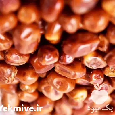 فروش خرید خرما زاهدی درجه یک در شیراز در گروه خرید و فروش خرما در یکمیوه -عکس1