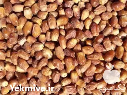 قیمت خرید عمده خرما به سراسر در شیراز در گروه خرید و فروش خرما در یکمیوه -عکس1