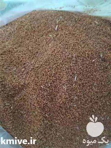 قیمت خرید خاکشیر به صورت عمده در گروه خرید و فروش گیاهان دارویی در یکمیوه -عکس1