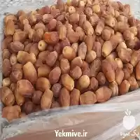 فروش خرما صادراتی زاهدی در شیراز در گروه خرید و فروش خرما در یکمیوه