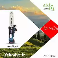 فروش اره زنجیری شارژی 30 سانتیمتر 168 و لت در کرج در گروه خرید و فروش اره برقی در یکمیوه