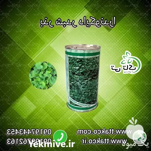 فروش بذر چمن دایکوندرا یک کیلویی در ارومیه در گروه خرید و فروش بذر چمن در یکمیوه -عکس1