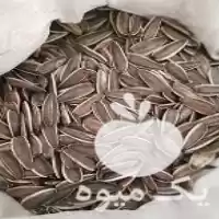 فروش عمده تخمه آفتابگردان خام در شیراز در گروه خرید و فروش انواع تخمه در یکمیوه