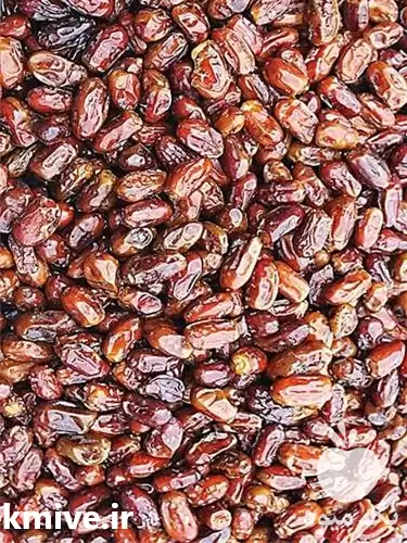 خرید عمده خرما مضافتی در گروه خرید و فروش خرما در یکمیوه -عکس1