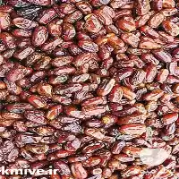 خرید عمده خرما مضافتی در گروه خرید و فروش خرما در یکمیوه