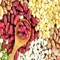 قیمت خرید مستقیم حبوبات درجه یک در تهران در گروه خرید و فروش غلات و حبوبات در یکمیوه