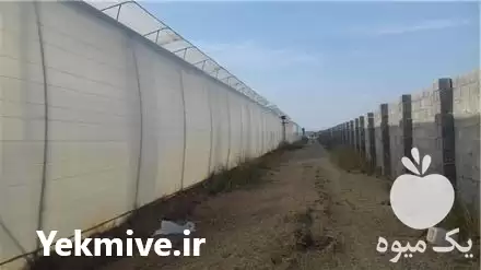 فروش پلاستیک گلخانه در اصفهان در گروه خرید و فروش انواع پوشش ها در یکمیوه -عکس1