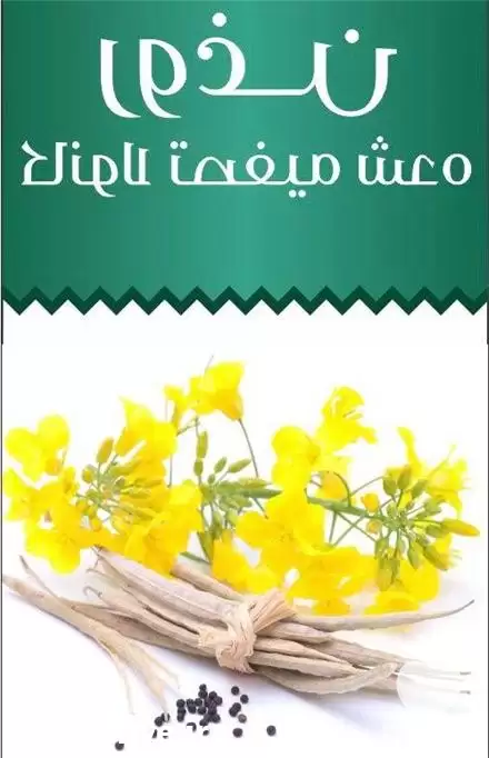 قیمت خرید روغن کانولا تصفیه شده در اردکان در گروه خرید و فروش انواع روغن در یکمیوه -عکس1