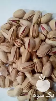 قیمت خرید مستقیم پسته مغز پسته در اردکان در گروه خرید و فروش پسته در یکمیوه -عکس1