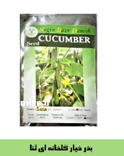 خرید بذر خیار گلخانه ای ثنا در اصفهان در گروه خرید و فروش بذر خیار در یکمیوه -عکس1