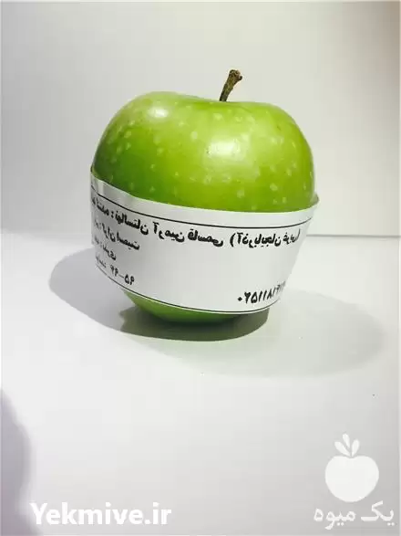 قیمت خرید نهال سیب سبز در گروه خرید و فروش نهال میوه در یکمیوه -عکس1