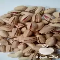 قیمت خرید مستقیم پسته مغز پسته در اردکان در گروه خرید و فروش پسته در یکمیوه