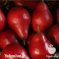 خرید نهال گلابی فورل در تهران در گروه خرید و فروش نهال گلابی در یکمیوه
