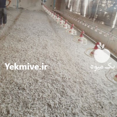 خرید و فروش کود مرغی در اقبالیه در گروه خرید و فروش کود مرغی در یکمیوه -عکس1